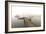 Fog Over Horseshoe Pond-5fishcreative-Framed Giclee Print