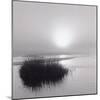 Fog over Katama-Michael Kahn-Mounted Giclee Print