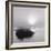 Fog over Katama-Michael Kahn-Framed Giclee Print