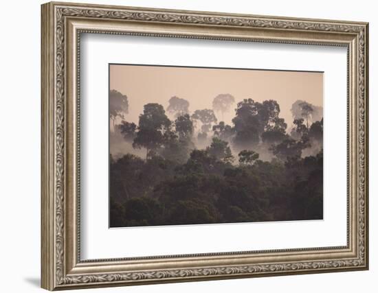 Fog over Masai Mara National Reserve-DLILLC-Framed Photographic Print