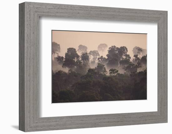 Fog over Masai Mara National Reserve-DLILLC-Framed Photographic Print