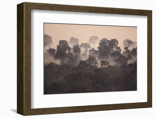 Fog over Masai Mara National Reserve-DLILLC-Framed Photographic Print