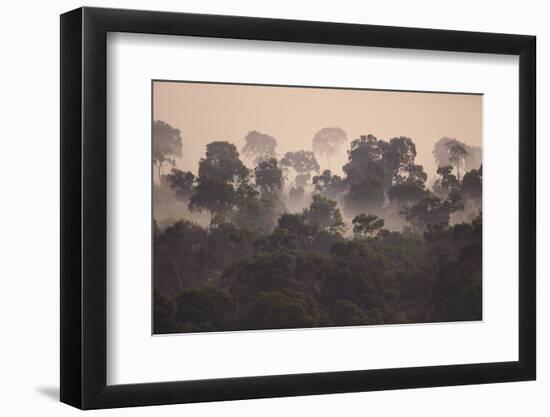 Fog over Masai Mara National Reserve-DLILLC-Framed Photographic Print