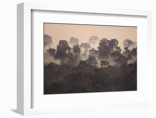 Fog over Masai Mara National Reserve-DLILLC-Framed Photographic Print