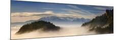 Photographic Print