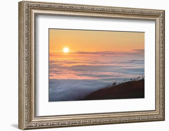 Fog over Olympic Mountains at sunrise, Washington State-Alan Majchrowicz-Framed Photographic Print