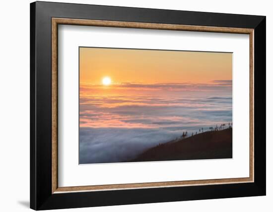 Fog over Olympic Mountains at sunrise, Washington State-Alan Majchrowicz-Framed Photographic Print