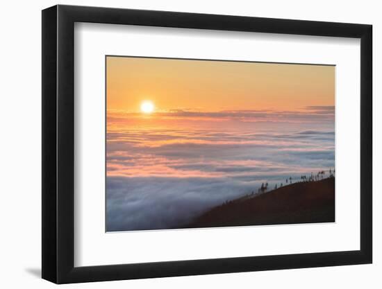 Fog over Olympic Mountains at sunrise, Washington State-Alan Majchrowicz-Framed Photographic Print