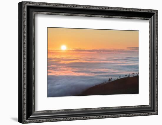 Fog over Olympic Mountains at sunrise, Washington State-Alan Majchrowicz-Framed Photographic Print