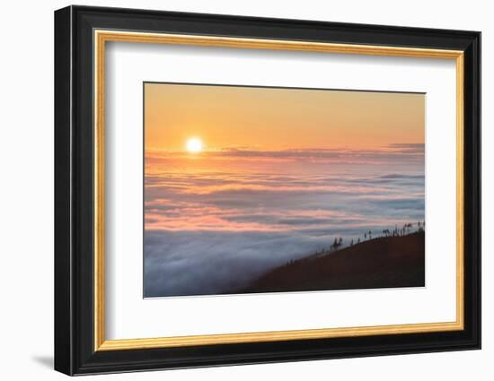 Fog over Olympic Mountains at sunrise, Washington State-Alan Majchrowicz-Framed Photographic Print