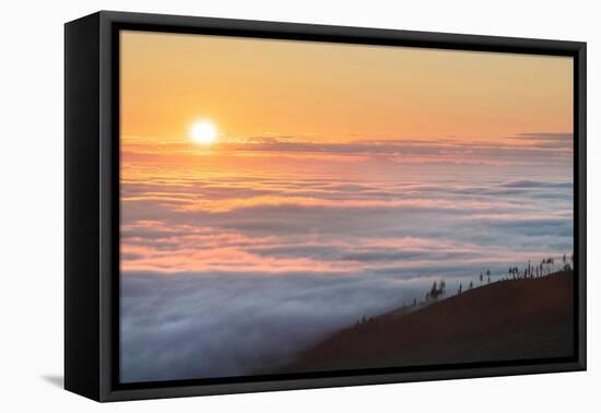 Fog over Olympic Mountains at sunrise, Washington State-Alan Majchrowicz-Framed Premier Image Canvas