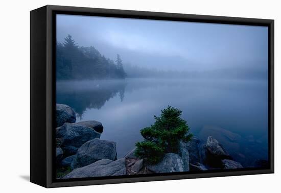 Fog over pond at sunrise, Copperas Pond, Adirondack Mountains State Park, New York State, USA-null-Framed Premier Image Canvas