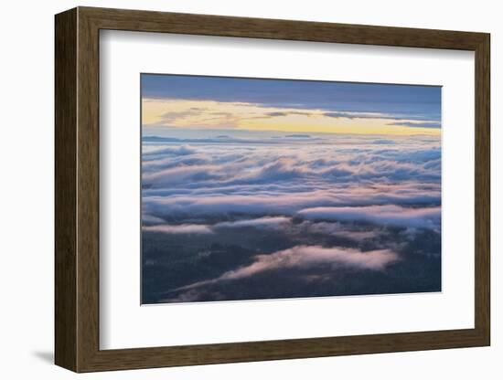 Fog over Strait of Juan de Fuca seen from Olympic National Park, Washington State-Alan Majchrowicz-Framed Photographic Print