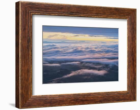 Fog over Strait of Juan de Fuca seen from Olympic National Park, Washington State-Alan Majchrowicz-Framed Photographic Print