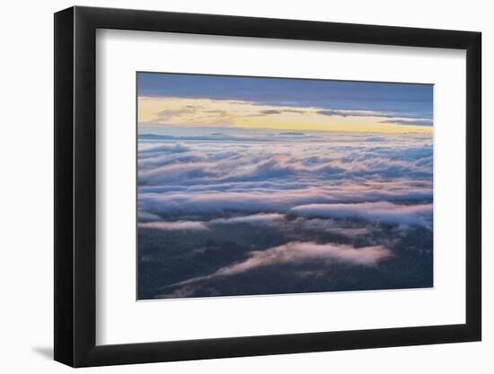 Fog over Strait of Juan de Fuca seen from Olympic National Park, Washington State-Alan Majchrowicz-Framed Photographic Print