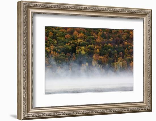 Fog over trees, Keuka Lake Vineyard, Hammondsport, Finger Lakes Region, New York State, USA-Panoramic Images-Framed Photographic Print