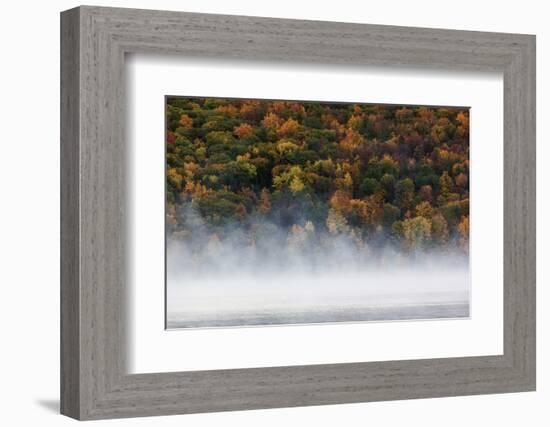 Fog over trees, Keuka Lake Vineyard, Hammondsport, Finger Lakes Region, New York State, USA-Panoramic Images-Framed Photographic Print