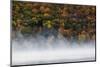 Fog over trees, Keuka Lake Vineyard, Hammondsport, Finger Lakes Region, New York State, USA-Panoramic Images-Mounted Photographic Print