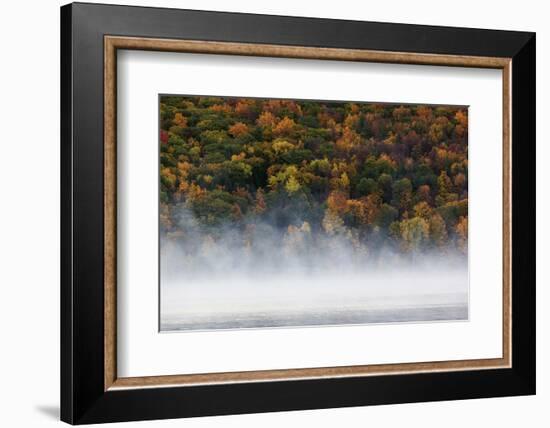 Fog over trees, Keuka Lake Vineyard, Hammondsport, Finger Lakes Region, New York State, USA-Panoramic Images-Framed Premium Photographic Print
