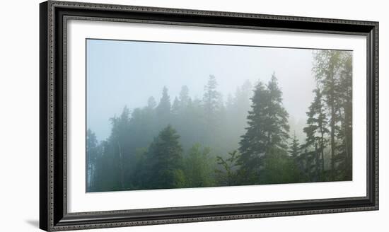Fog over Trees, Marathon, Ontario, Canada-null-Framed Photographic Print