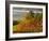 Fog Pools in a Finger of the Willamette Valley, Oregon, USA-Janis Miglavs-Framed Photographic Print