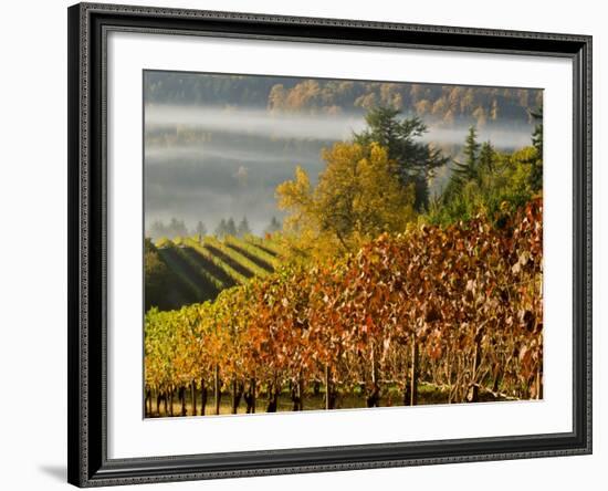 Fog Pools in a Finger of the Willamette Valley, Oregon, USA-Janis Miglavs-Framed Photographic Print