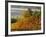 Fog Pools in a Finger of the Willamette Valley, Oregon, USA-Janis Miglavs-Framed Photographic Print