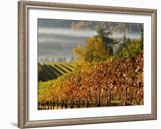 Fog Pools in a Finger of the Willamette Valley, Oregon, USA-Janis Miglavs-Framed Photographic Print