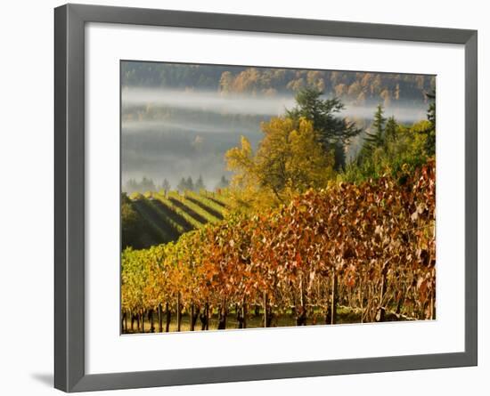 Fog Pools in a Finger of the Willamette Valley, Oregon, USA-Janis Miglavs-Framed Photographic Print