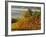 Fog Pools in a Finger of the Willamette Valley, Oregon, USA-Janis Miglavs-Framed Photographic Print