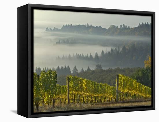 Fog Pools in Willamette Valley, Dundee, Oregon, USA-Janis Miglavs-Framed Premier Image Canvas