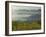 Fog Pools in Willamette Valley, Dundee, Oregon, USA-Janis Miglavs-Framed Photographic Print