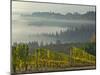 Fog Pools in Willamette Valley, Dundee, Oregon, USA-Janis Miglavs-Mounted Photographic Print