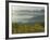 Fog Pools in Willamette Valley, Dundee, Oregon, USA-Janis Miglavs-Framed Photographic Print