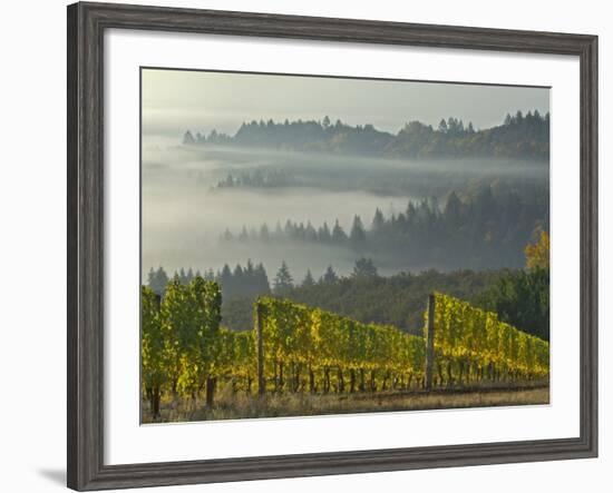 Fog Pools in Willamette Valley, Dundee, Oregon, USA-Janis Miglavs-Framed Photographic Print