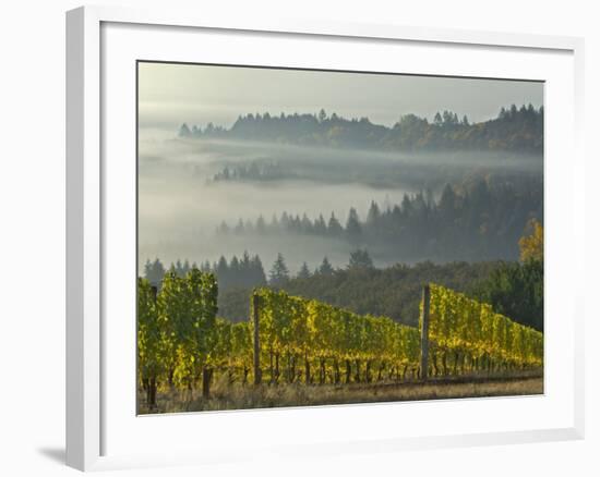 Fog Pools in Willamette Valley, Dundee, Oregon, USA-Janis Miglavs-Framed Photographic Print