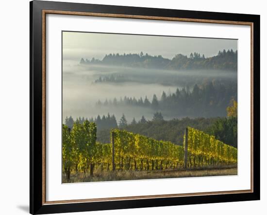 Fog Pools in Willamette Valley, Dundee, Oregon, USA-Janis Miglavs-Framed Photographic Print