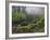 Fog, Portland Japanese Garden, Portland, USA, Oregon-Michel Hersen-Framed Photographic Print