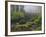 Fog, Portland Japanese Garden, Portland, USA, Oregon-Michel Hersen-Framed Photographic Print