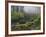 Fog, Portland Japanese Garden, Portland, USA, Oregon-Michel Hersen-Framed Photographic Print