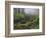 Fog, Portland Japanese Garden, Portland, USA, Oregon-Michel Hersen-Framed Photographic Print