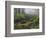 Fog, Portland Japanese Garden, Portland, USA, Oregon-Michel Hersen-Framed Photographic Print