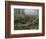 Fog, Portland Japanese Garden, Portland, USA, Oregon-Michel Hersen-Framed Photographic Print