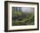 Fog, Portland Japanese Garden, Portland, USA, Oregon-Michel Hersen-Framed Photographic Print