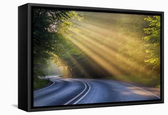 Fog Rays over Pierre Stocking Drive in Sleeping Bear National Lakeshore Near Empire, Michigan, Usa-Chuck Haney-Framed Premier Image Canvas