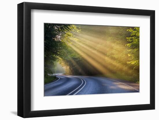 Fog Rays over Pierre Stocking Drive in Sleeping Bear National Lakeshore Near Empire, Michigan, Usa-Chuck Haney-Framed Photographic Print