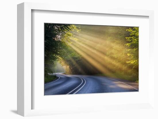 Fog Rays over Pierre Stocking Drive in Sleeping Bear National Lakeshore Near Empire, Michigan, Usa-Chuck Haney-Framed Photographic Print