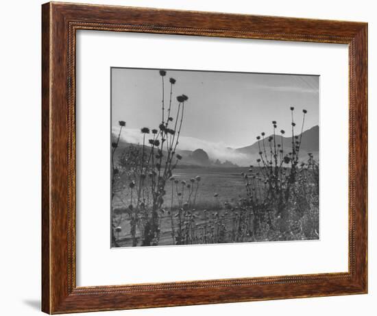 Fog Rolling in over the Santa Lucia Mountains-Nina Leen-Framed Photographic Print