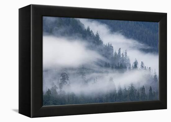 Fog Rolls Through Forest in Misty Fjords National Monument-Paul Souders-Framed Premier Image Canvas