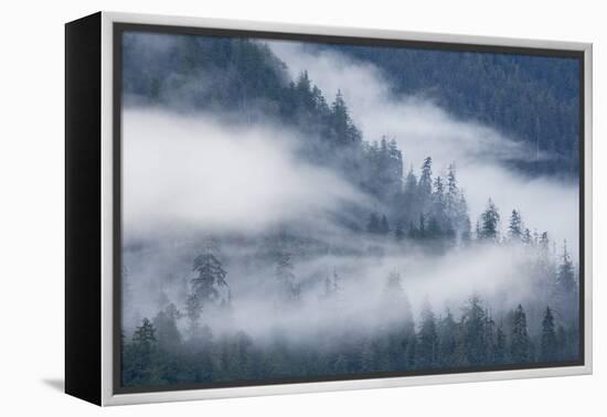 Fog Rolls Through Forest in Misty Fjords National Monument-Paul Souders-Framed Premier Image Canvas